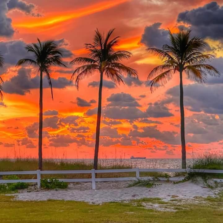דניה ביץ' Super 8 Motel By Wyndham Near Fort Lauderdale Arpt מראה חיצוני תמונה